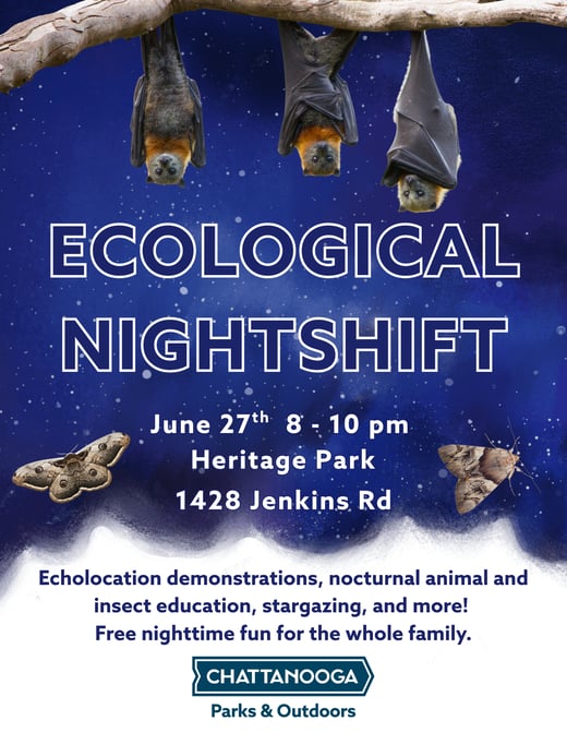 ECOLOGICAL NIGHTSHIFT